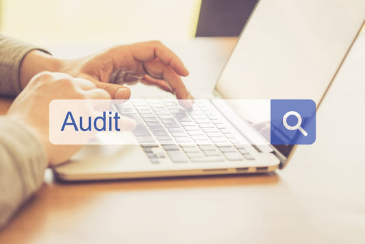Website Audit